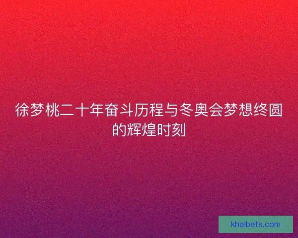 徐梦桃二十年奋斗历程与冬奥会梦想终圆的辉煌时刻