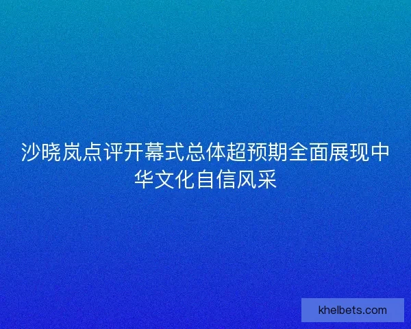 沙晓岚点评开幕式总体超预期全面展现中华文化自信风采