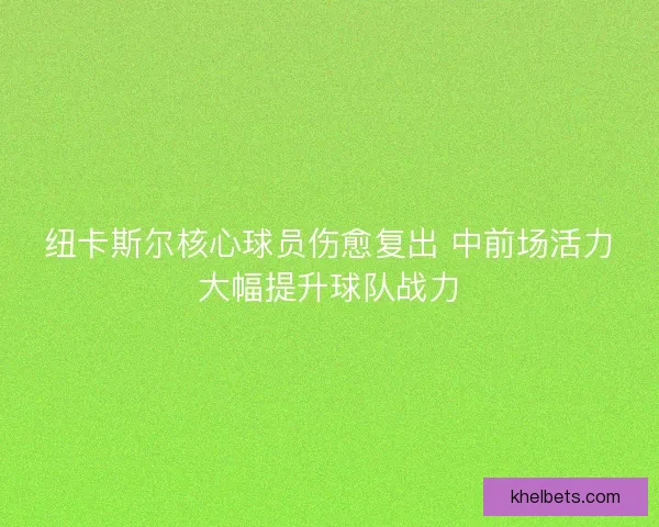 纽卡斯尔核心球员伤愈复出 中前场活力大幅提升球队战力 纽卡斯尔核心球员伤愈复出 中前场活力大幅提升球队战力
